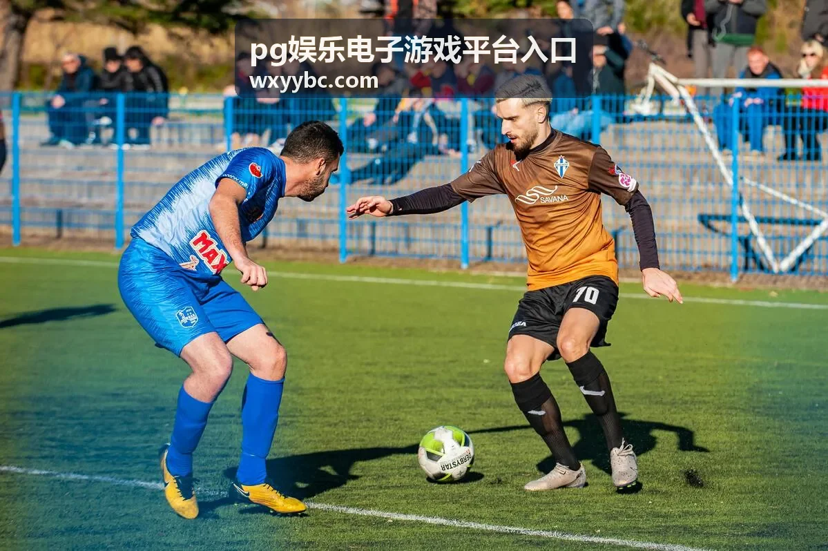 pg娱乐电子游戏平台入口通道与玩法展示图