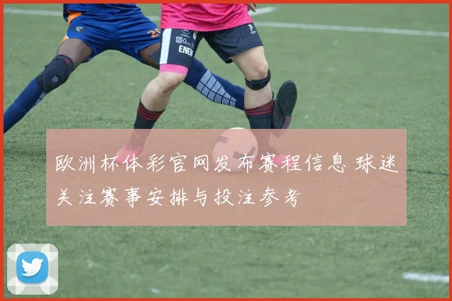 欧洲杯体彩官网发布赛程信息 球迷关注赛事安排与投注参考