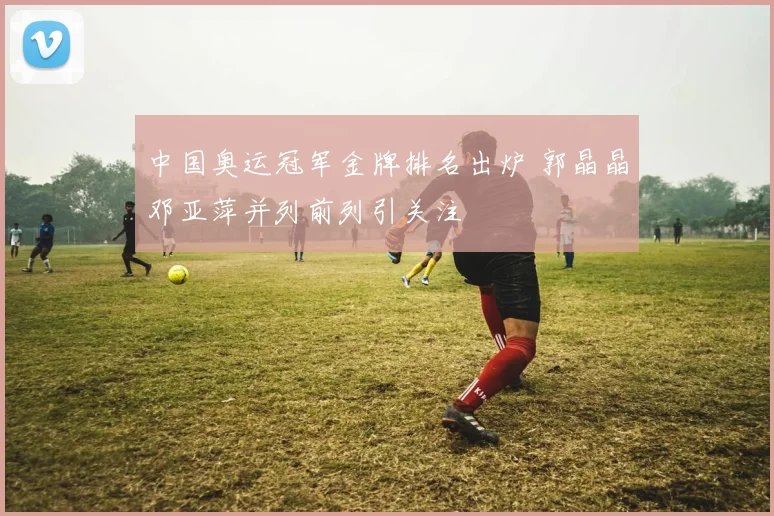 中国奥运冠军金牌排名出炉 郭晶晶邓亚萍并列前列引关注