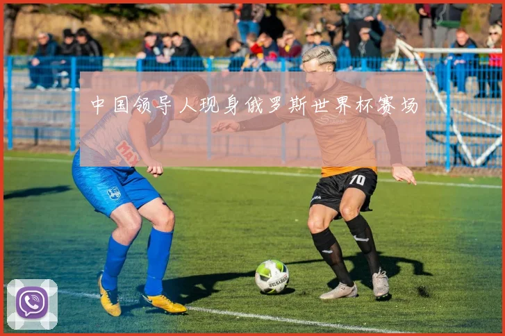 中国领导人现身俄罗斯世界杯赛场