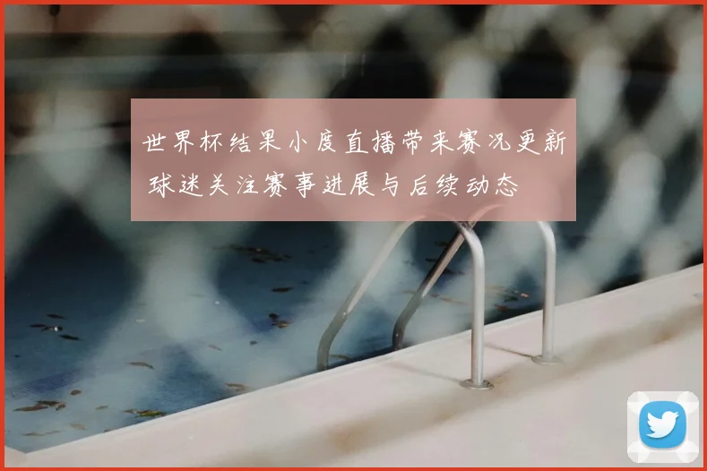 世界杯结果小度直播带来赛况更新 球迷关注赛事进展与后续动态