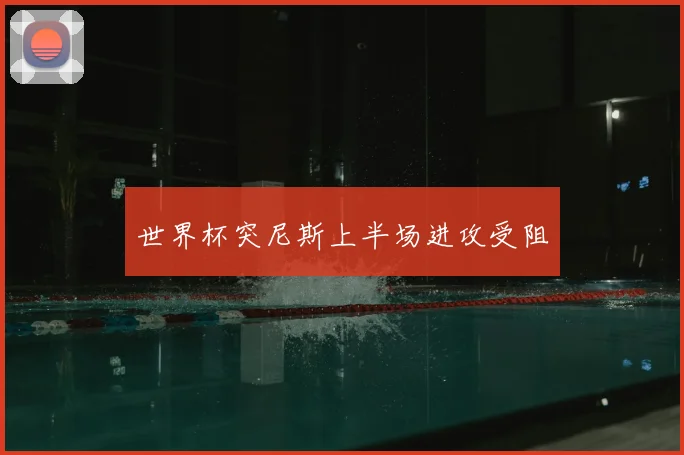 世界杯突尼斯上半场进攻受阻