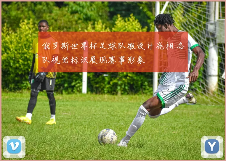 俄罗斯世界杯足球队徽设计亮相 各队视觉标识展现赛事形象