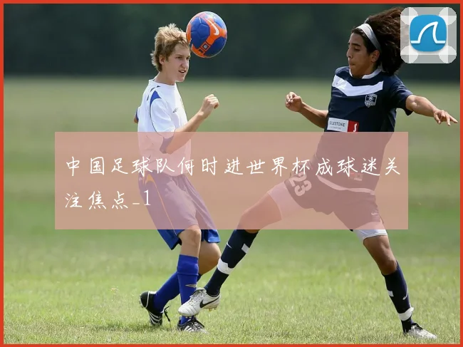 中国足球队何时进世界杯成球迷关注焦点_1