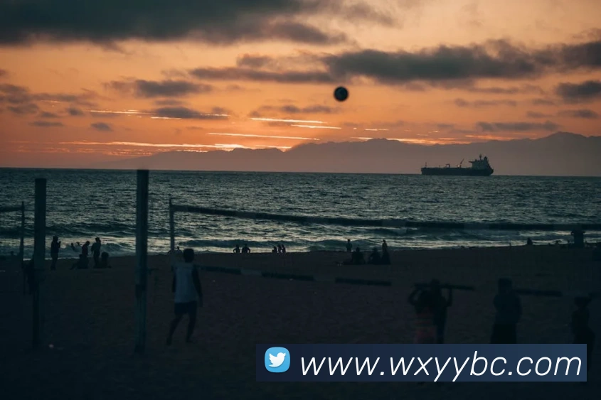 华体育会登录网官网平台生态图