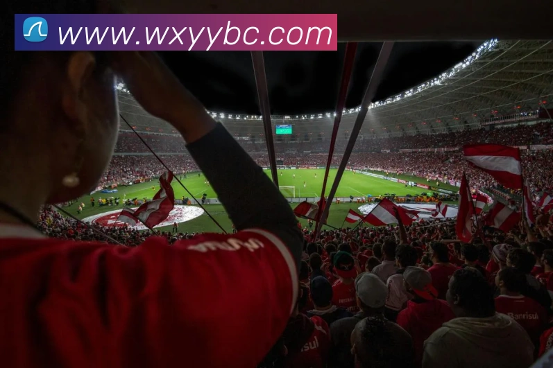 华体育会登录网官网全站App